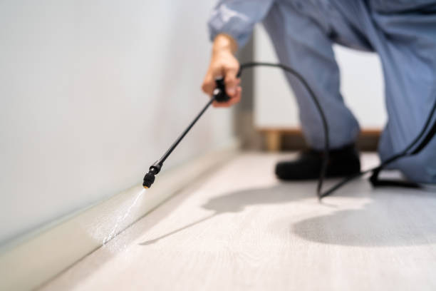 Licensed Mosquito Control service in New Holstein, WI - Show Me Pest Control