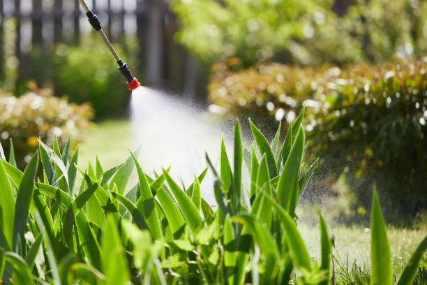 24/7 Emergency Mosquito Control experts in New Holstein, WI
